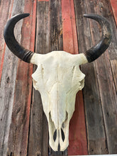 Load image into Gallery viewer, Finished Bison Skull