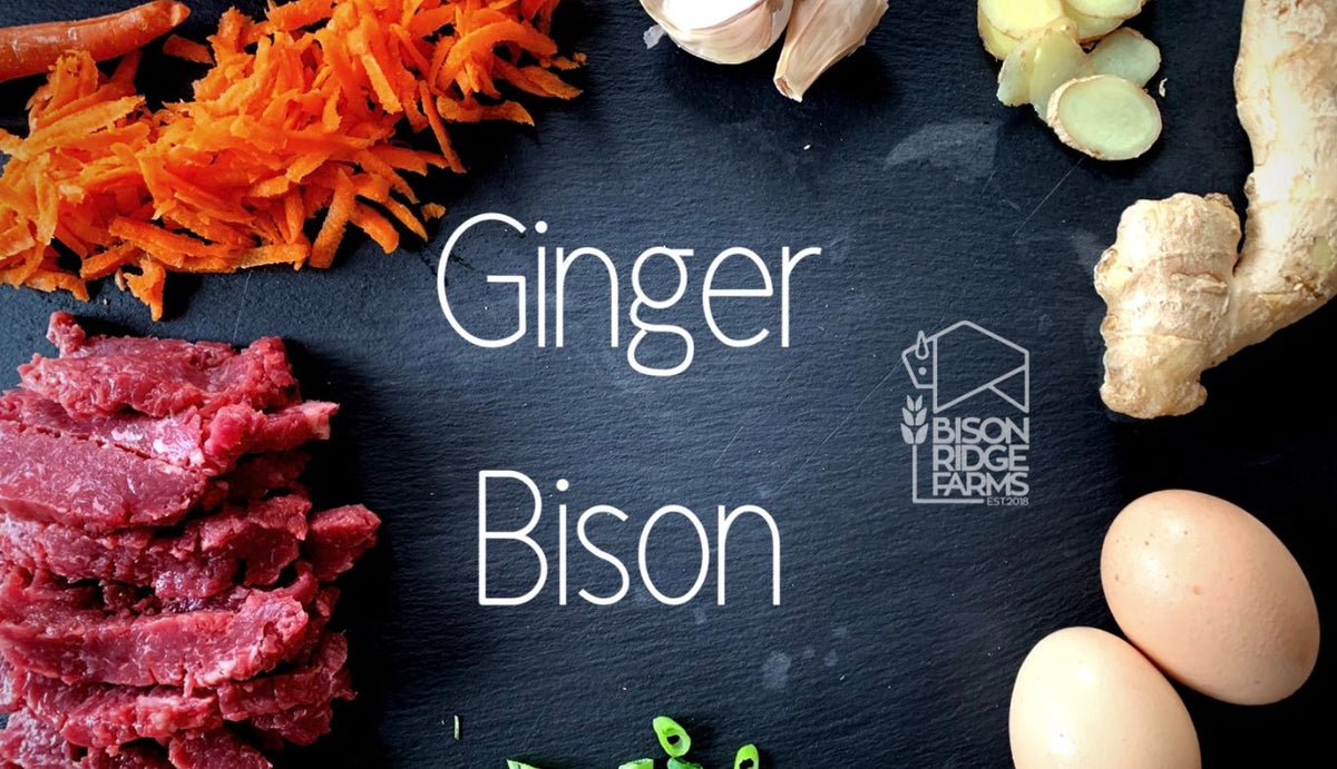 GINGER BISON – Bison Ridge Farms