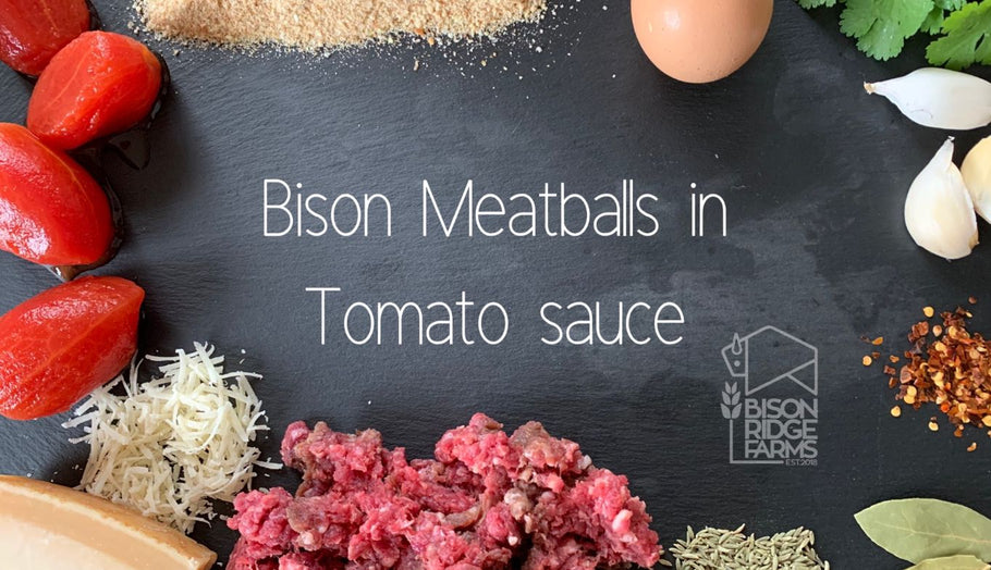 BISON MEATBALLS IN TOMATO SAUCE