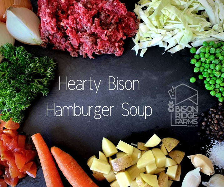 HEARTY BISON HAMBURGER SOUP