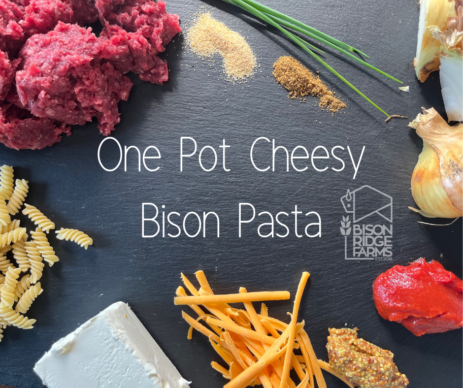 One Pot Cheesy Bison Pasta – Bison Ridge Farms
