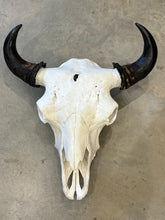 Load image into Gallery viewer, Finished Bison Skull