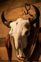 Load image into Gallery viewer, Finished Bison Skull