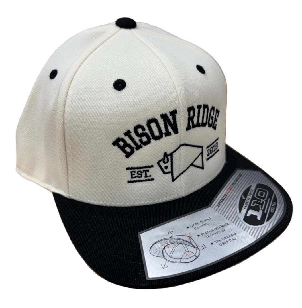 ADULT BRF College Hat