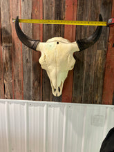 Load image into Gallery viewer, Finished Bison Skull