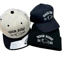 Load image into Gallery viewer, ADULT BRF College Hat