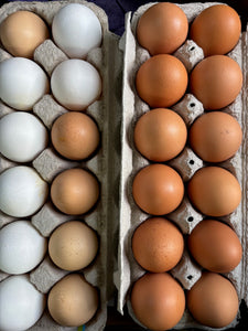 Farm Eggs