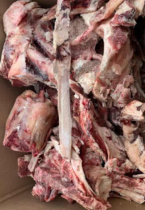 SCRAP BONES